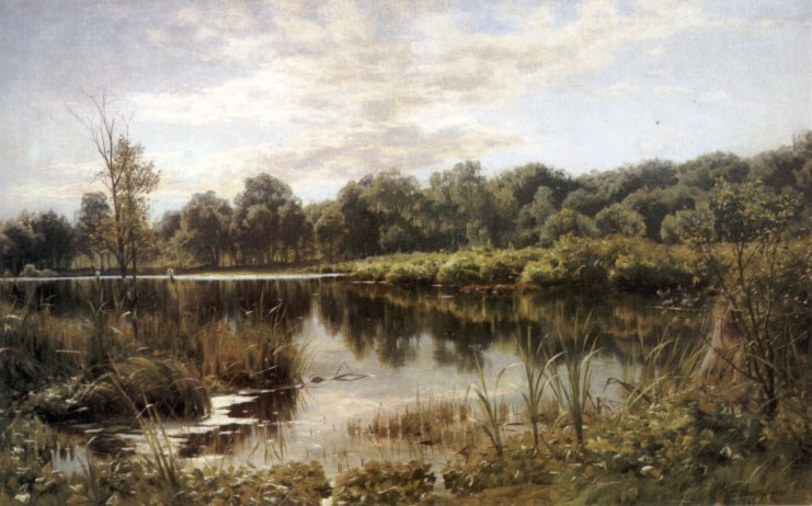 Peder Mork Monsted Bollemosen